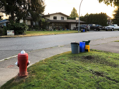 Single-Family Recycling Bins