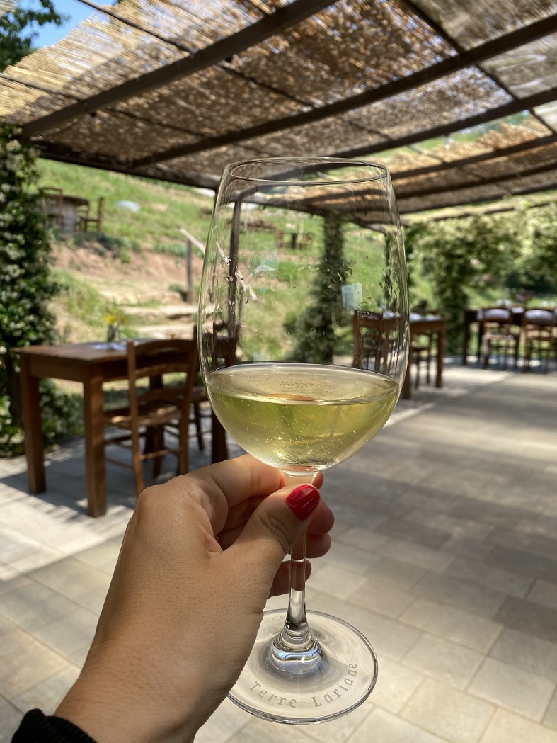 I vini di Montevecchia dell'agriturismo La Costa
