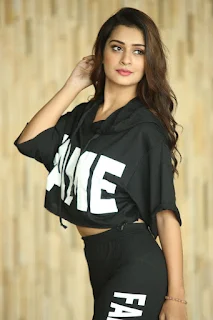 Actress Payal Rajput Latest Photoshoot Stills 