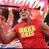 Hulk Hogan flagrado fazendo comentários homofóbicos