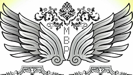 BROKEN WINGS