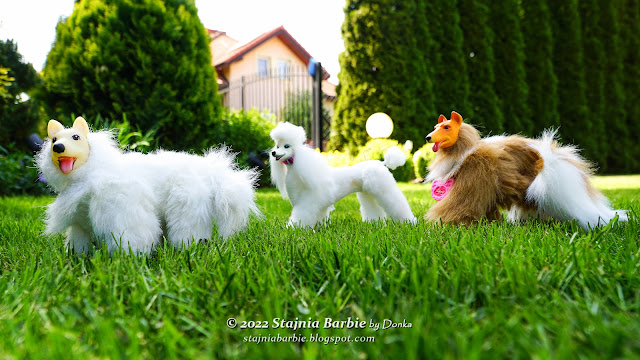 Barbie dogs