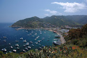 Catalina Island is a popular tourist spot, located about 22 miles . (catalina)