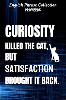 English Phrase Collection | English Proverbs | Curiosity killed the cat, but satisfaction brought it back.