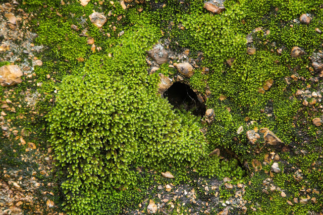 Lake Mineral Wells State Park