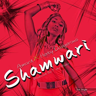 [feature]Amard - Shamwari (Feat. Herby Dangerous) (Prod. by Take Fizzo)