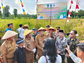 Dukung Program Ketahanan Pangan Bupati PALI Lakukan Panen Raya Padi Sawah