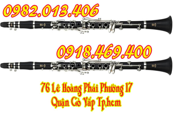 guitar binh tan 2