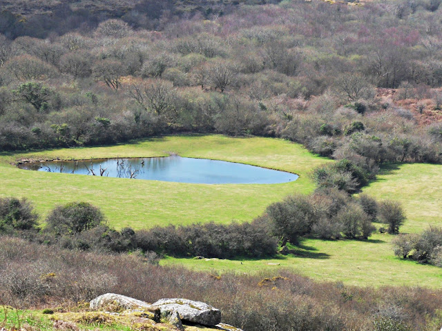 View from top of Helman Tor, Cornwall