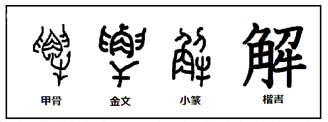 漢字考古学の道 漢字の由来と成り立ちを考古学の視点から捉える 漢字 解 の成り立ちと由来 牛の解体が漢字になった 牛 が社会の中で重要な役割を果たしていた証拠