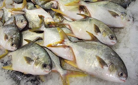 Diari Mekla Seorang WAHM: Resepi Mudah Ikan Bawal Emas 