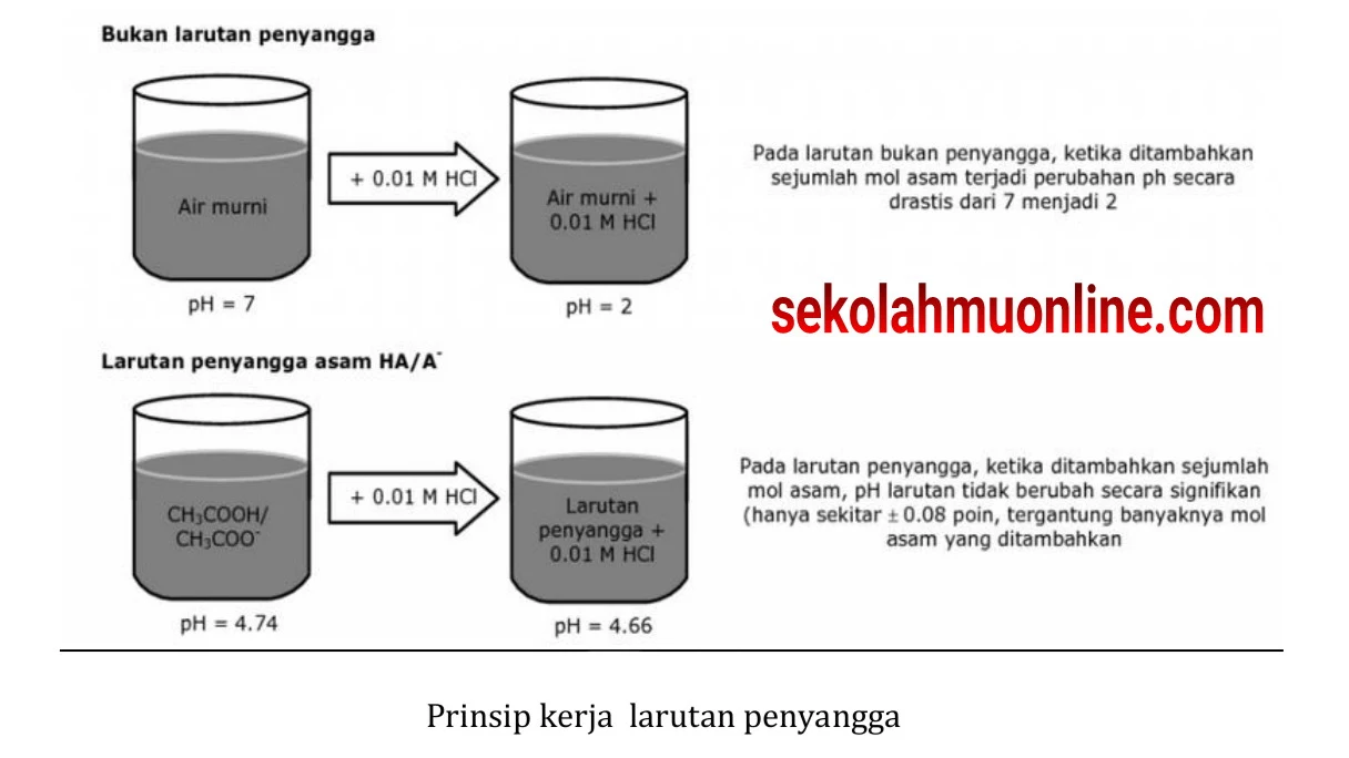 Rangkuman atau ringkasan Kimia Kelas 11 Bab Larutan Penyangga