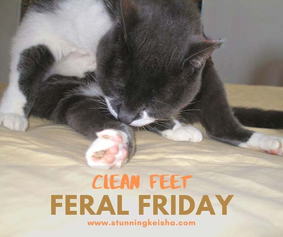 Clean Feet on Feral Friday
