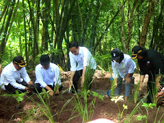 Cegah Erosi di Wonogiri. Jokowi Galakkan Penanaman Akar Wangi