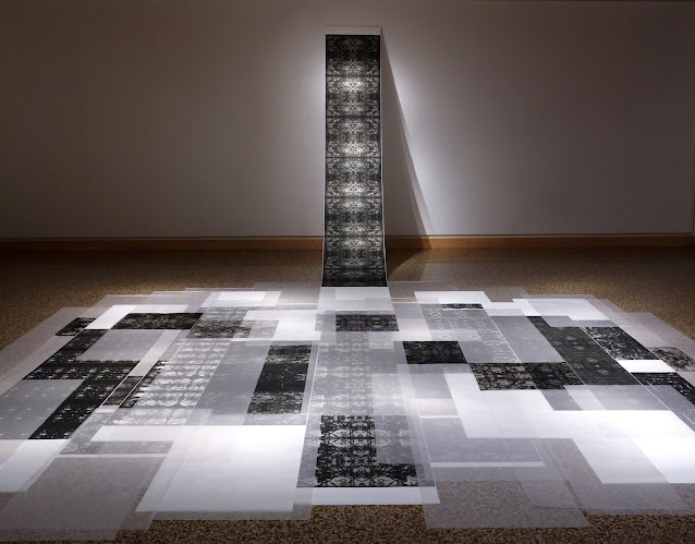 Room size installation of black and white images composed of layers of scientific writings. Layers of prints are on the floor except for one long scroll attached to the wall.