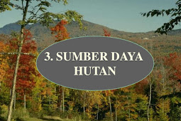 MAKALAH SUMBER DAYA ALAM HUTAN 