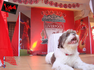 Liverpool Brithday Concept By Vina Canopy & Decor at Kelana Jaya