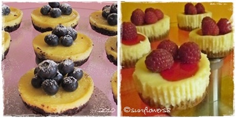 Doppio cheesecakes