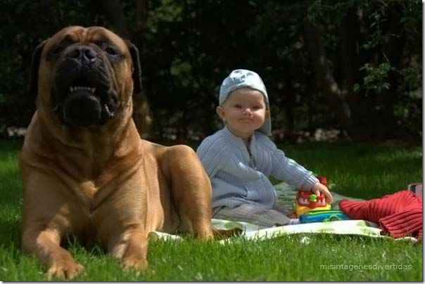 1 - niños con perros misimagenesdivertidas  (7)