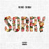 ¡Nuevo! Rick Ross ft Chris Brown - Sorry (Audio)