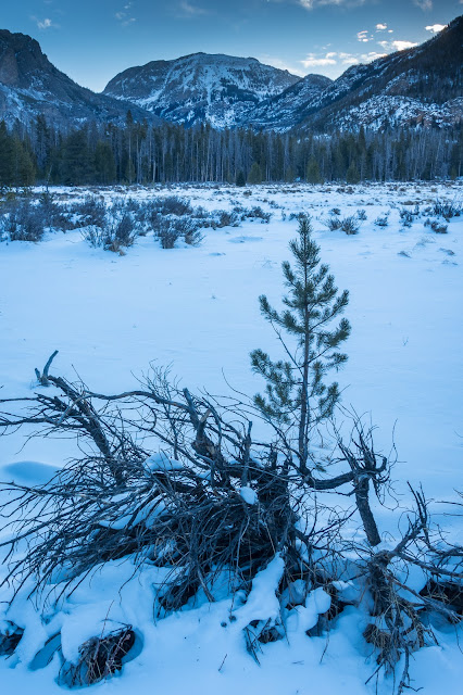 East Inlet Trail, Rocky Mountain National Park