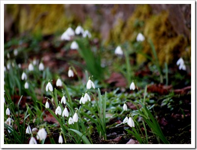 7th March 2