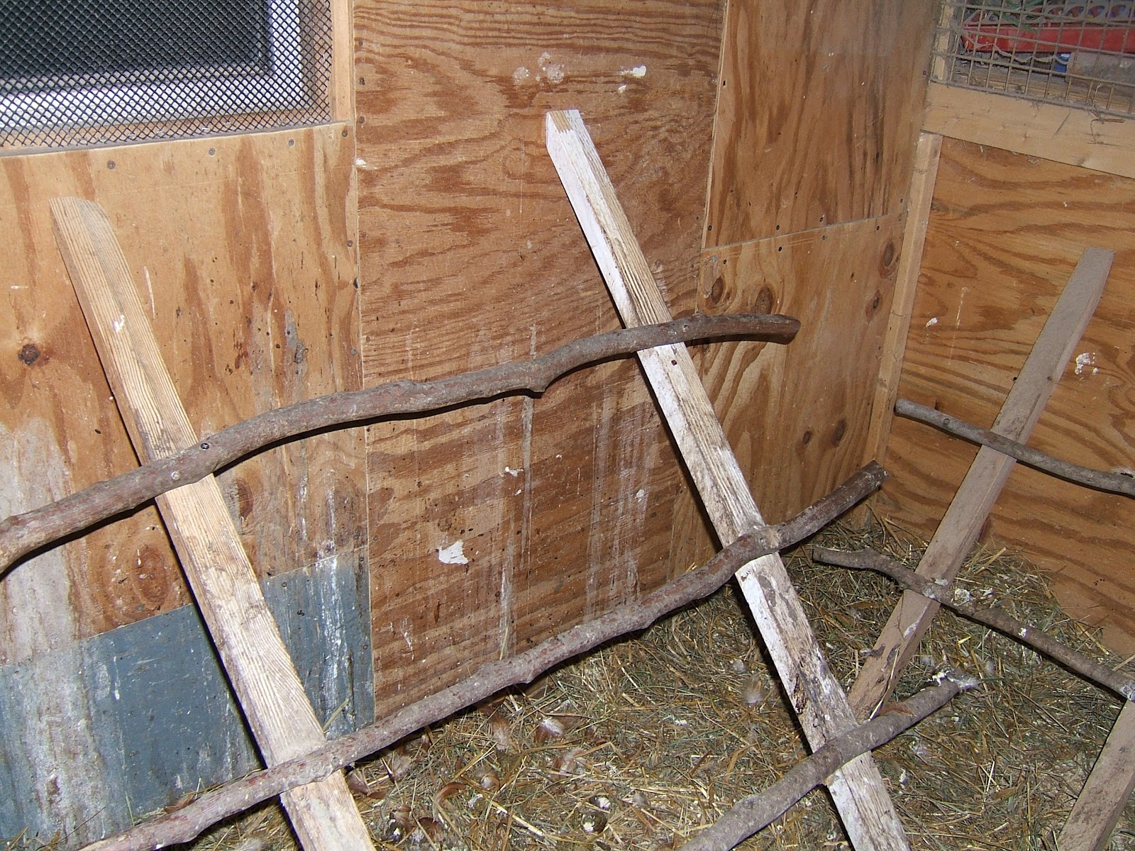 Chicken Nest Boxes