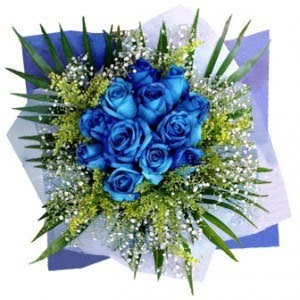 Blue Rose  Flower Wallpapers