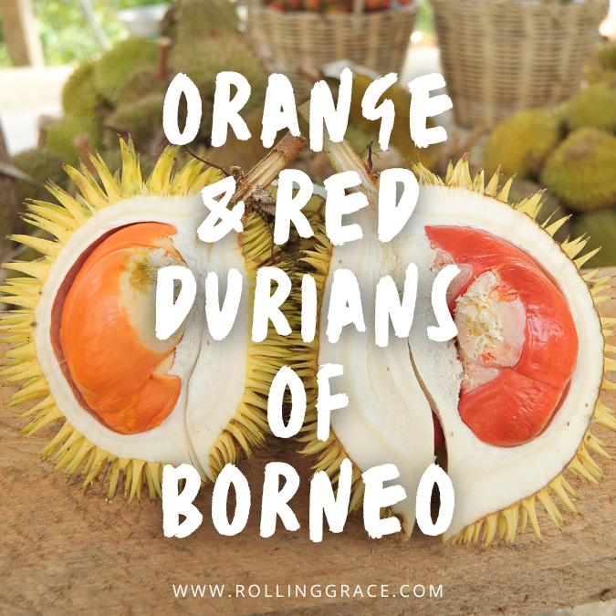 orange & red durians of borneo