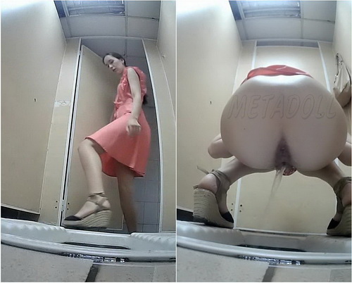 VB Piss 1433-1452 (Long compilation of girls on a public toilet)