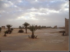 IMG_3013