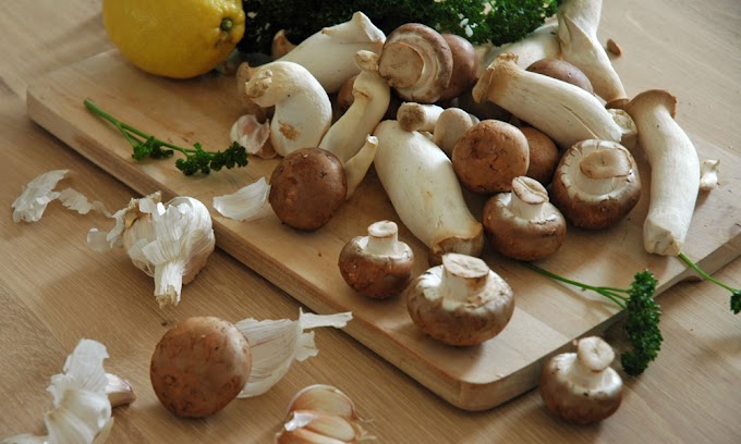  Mushrooms have no nutritional value | Common Mushroom Myths | Biobritte mushroom center