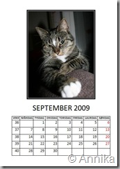 10september09
