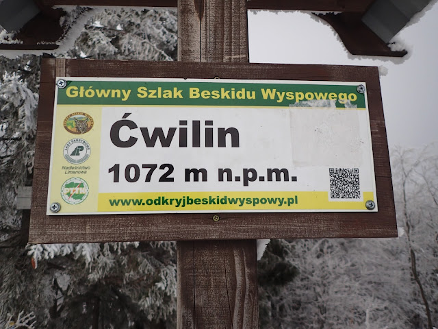 Ćwilin (1072 m.n.p.m.), drugi najwyższy szczyt Beskidu Wyspowego