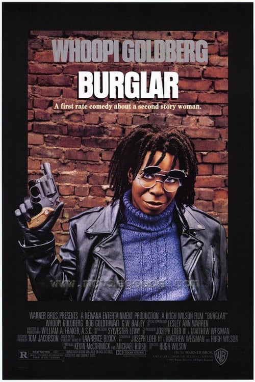 [HD] La ratera 1987 Pelicula Completa En Español Gratis