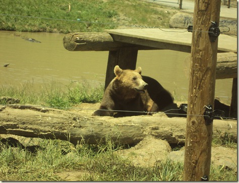 MAY-JUNE 2010 286