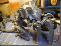 Tervigon WIP