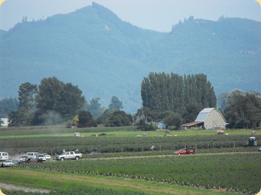 La Conner, WA 062