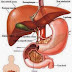 Penyebab dan Gejala Penyakit Liver atau Hati