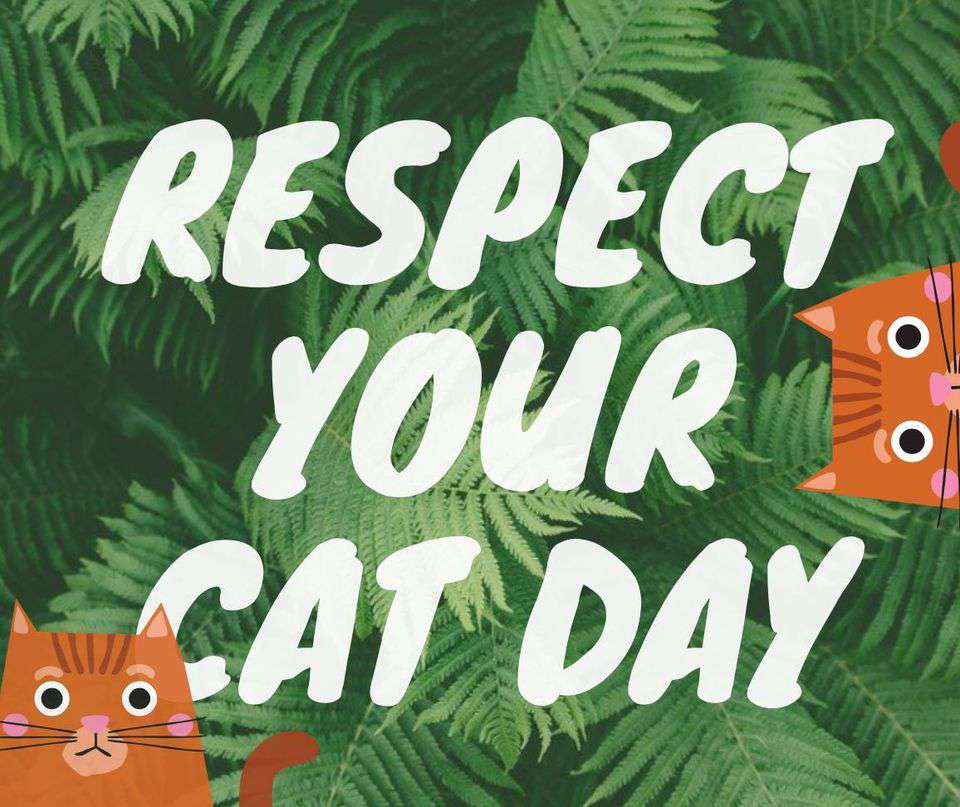 Respect Your Cat Day Wishes