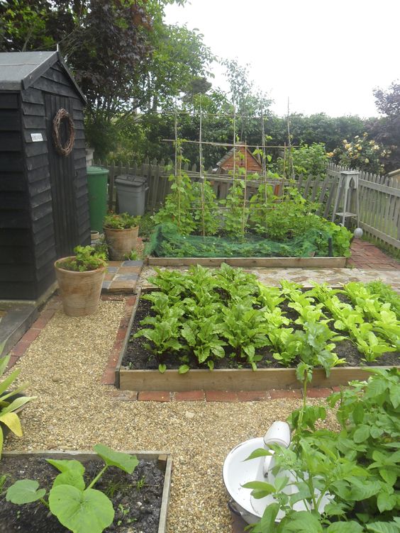 Raised Bed Gardening  Pinterest Gardening 