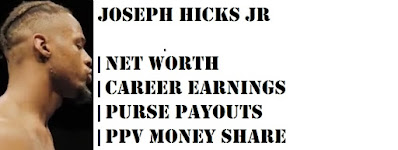 Joseph Hicks Jr Net Worth