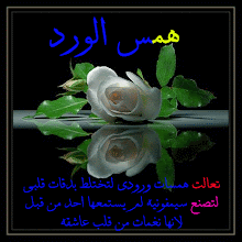 صورتي