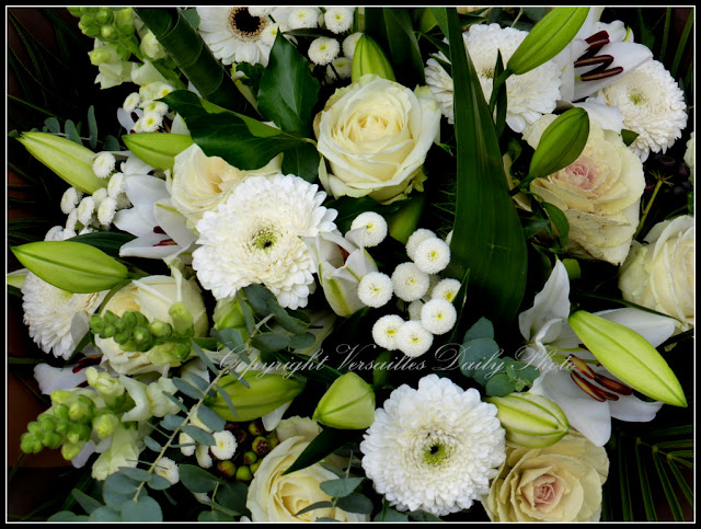 White flowers Versailles