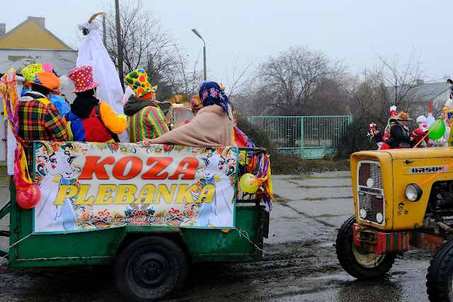 Kujawska Koza ostatki na Kujawach