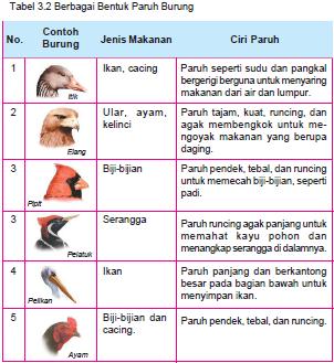 Biologi ADAPTASI  MAKHLUK HIDUP