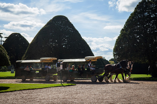 Jardins de Hampton Court, Londres