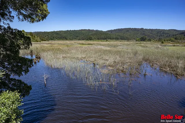 Estero San Ramón y el Potrero en la provincia de Valdivia, en la región de Los Ríos, Chile.