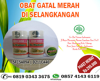 OBAT GATAL MERAH DI SELANGKANGAN