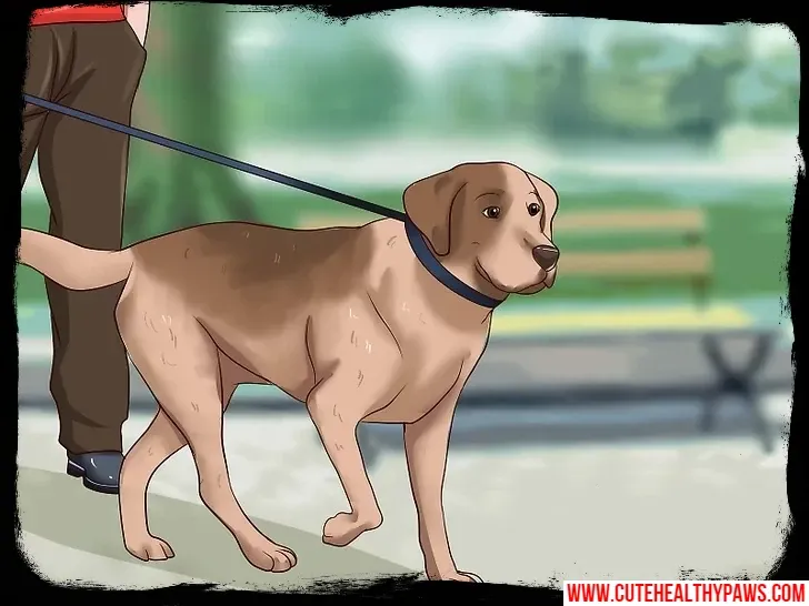 stop the dog's annoying barking